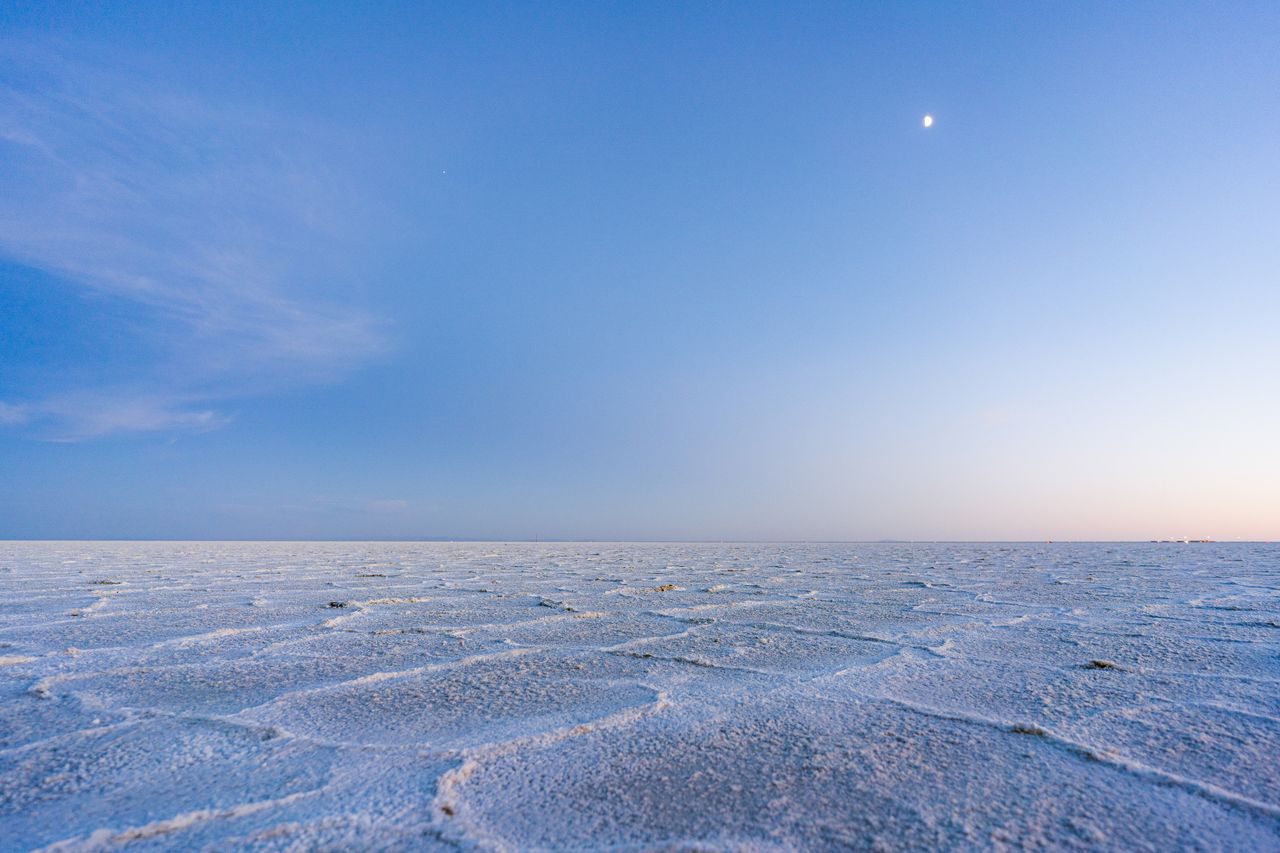 Cover of The Salt Road